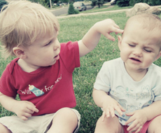 合成生物学：造物主的新角色