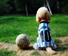 助力医院提升诊断效率与准确性